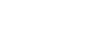 pluz